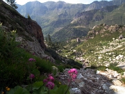 Camminata panoramica ad anello al PASSO DI GRABIASCA, sul MONTE RESEDA e per passi e laghi della conca del Calvi il 26 luglio 2012 - FOTOGALLERY